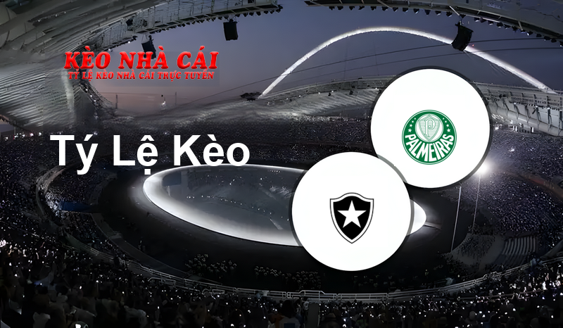 Botafogo SP U20 vs Palmeiras U20 prediction, odds, lineups, h2h results and betting tips, statistics, odds and prediction - Kèo Nhà Cái