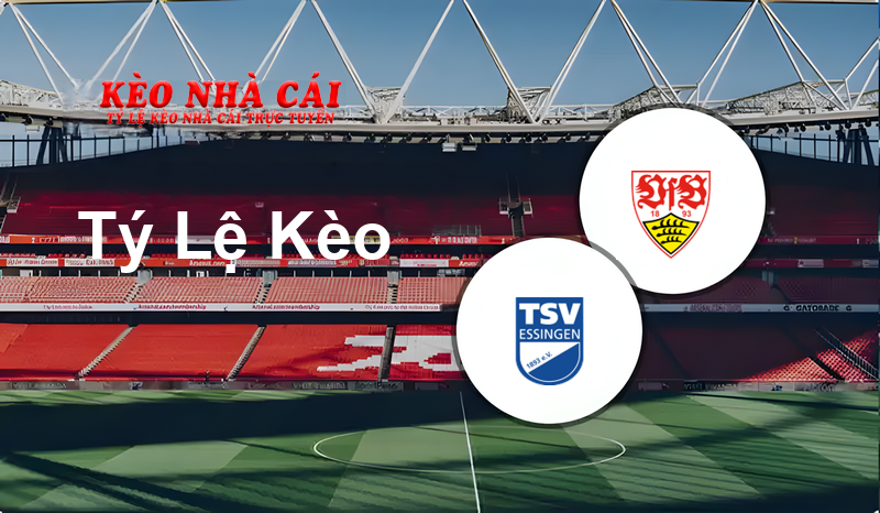 Essingen vs Stuttgart II prediction, odds, lineups, h2h results and betting tips, statistics, odds and prediction - Kèo Nhà Cái