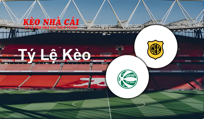 Gaúcho vs Bagé prediction, odds, lineups, h2h results and betting tips, statistics, odds and prediction - Kèo Nhà Cái