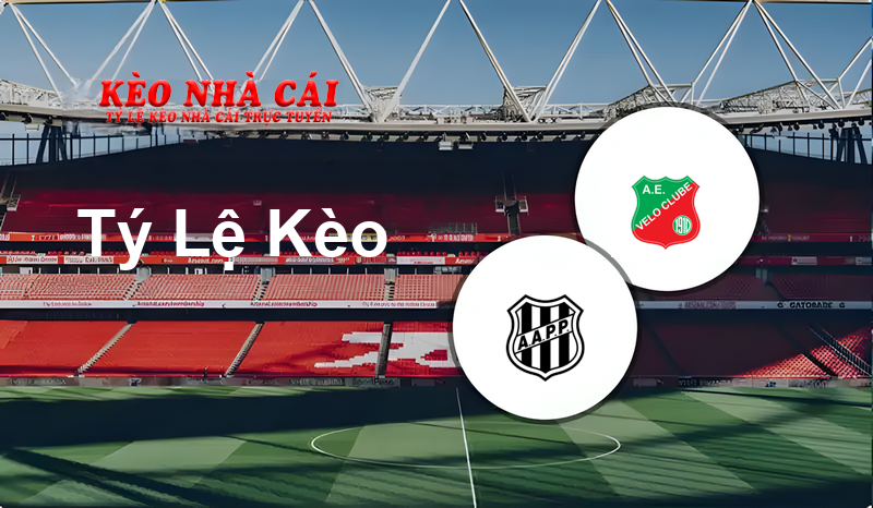 Ponte Preta U20 vs Velo Clube U20 prediction, odds, lineups, h2h results and betting tips, statistics, odds and prediction - Kèo Nhà Cái