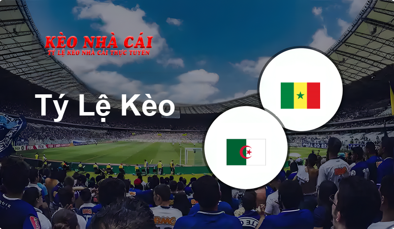 Algeria W vs Senegal W prediction, odds, lineups, h2h results and betting tips, statistics, odds and prediction - Kèo Nhà Cái