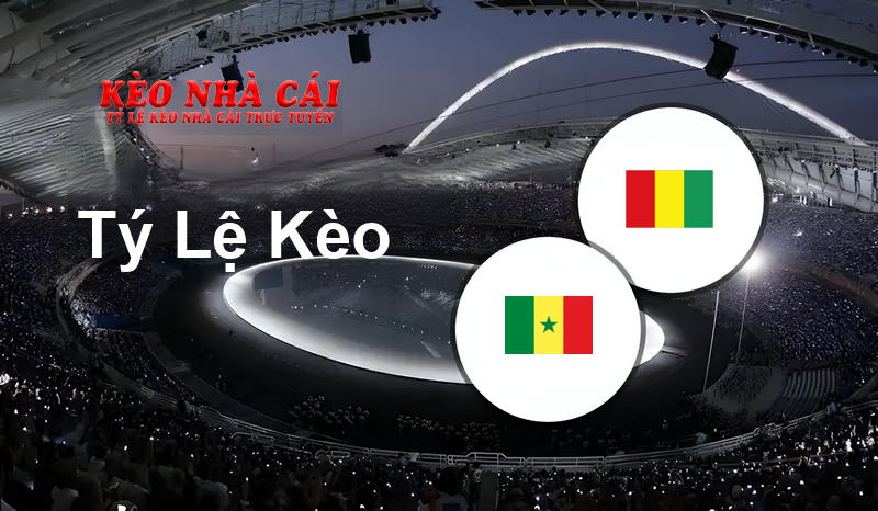 Senegal vs Guinea prediction, odds, lineups, h2h results and betting tips, statistics, odds and prediction - Kèo Nhà Cái
