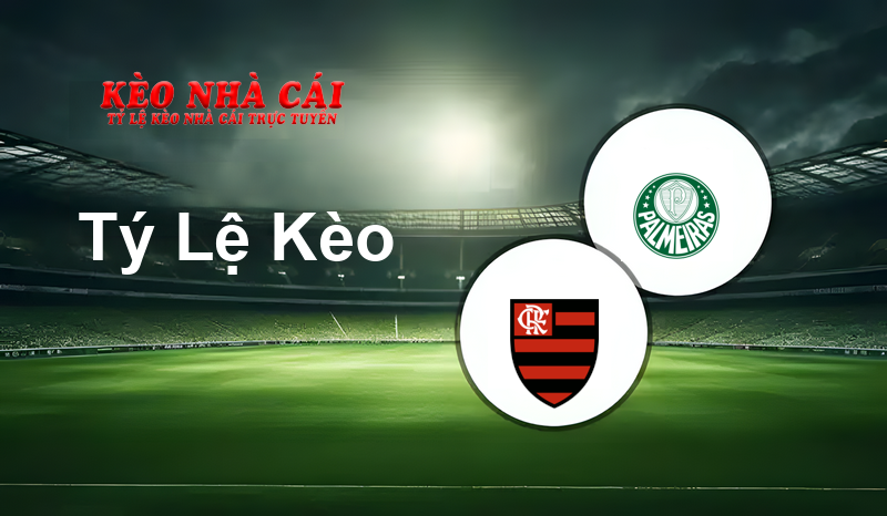 Flamengo RJ U17 vs Palmeiras U17 prediction, odds, lineups, h2h results and betting tips, statistics, odds and prediction - Kèo Nhà Cái