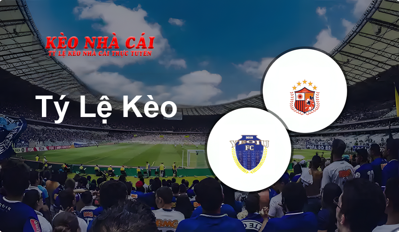 Yeoju Sejong vs Pocheon prediction, odds, lineups, h2h results and betting tips, statistics, odds and prediction - Kèo Nhà Cái