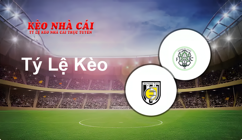 AS Jeunesse Esch vs FC 08 Homburg prediction, odds, lineups, h2h results and betting tips, statistics, odds and prediction - Kèo Nhà Cái