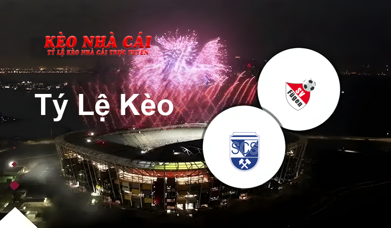 Schwaz vs Fügen prediction, odds, lineups, h2h results and betting tips, statistics, odds and prediction - Kèo Nhà Cái