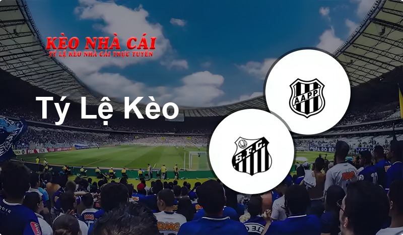 Santos U20 vs Ponte Preta U20 prediction, odds, lineups, h2h results and betting tips, statistics, odds and prediction - Kèo Nhà Cái