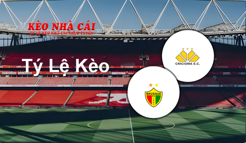 Brusque U20 vs Criciuma U20 prediction, odds, lineups, h2h results and betting tips, statistics, odds and prediction - Kèo Nhà Cái