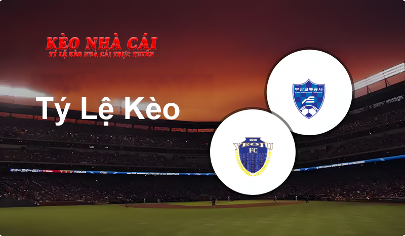 Yeoju Sejong vs Busan Transportation prediction, odds, lineups, h2h results and betting tips, statistics, odds and prediction - Kèo Nhà Cái