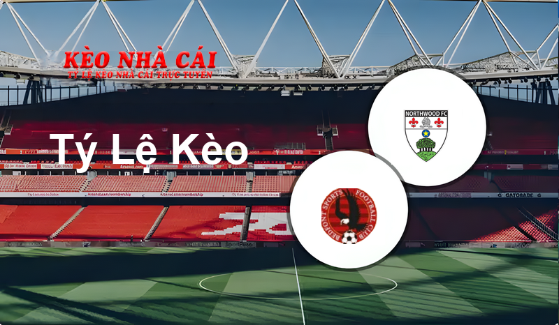 Bedfont Sports vs Northwood prediction, odds, lineups, h2h results and betting tips, statistics, odds and prediction - Kèo Nhà Cái