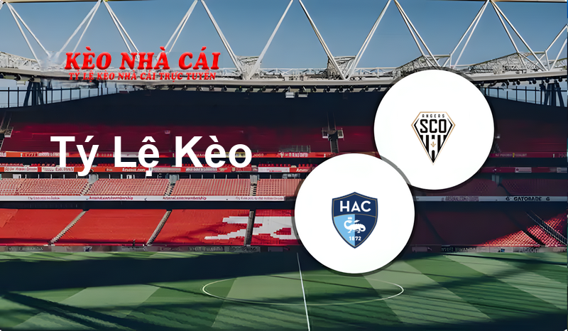 Le Havre vs Angers prediction, odds, lineups, h2h results and betting tips, statistics, odds and prediction - Kèo Nhà Cái