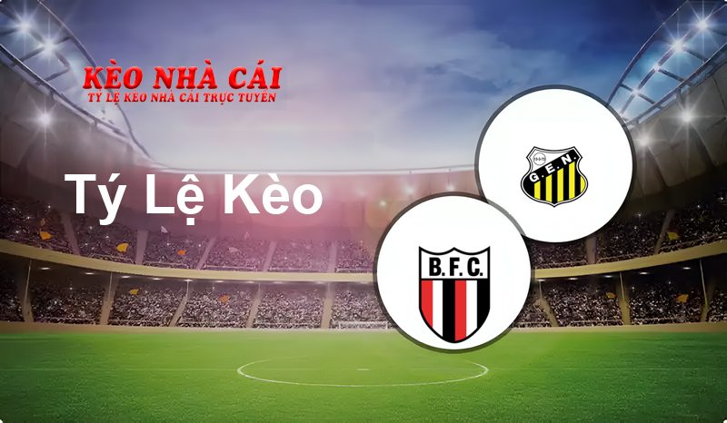 Botafogo SP vs Novorizontino prediction, odds, lineups, h2h results and betting tips, statistics, odds and prediction - Kèo Nhà Cái