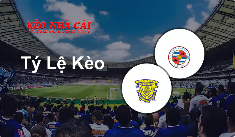 Basingstoke Town vs Reading U21 prediction, odds, lineups, h2h results and betting tips, statistics, odds and prediction - Kèo Nhà Cái