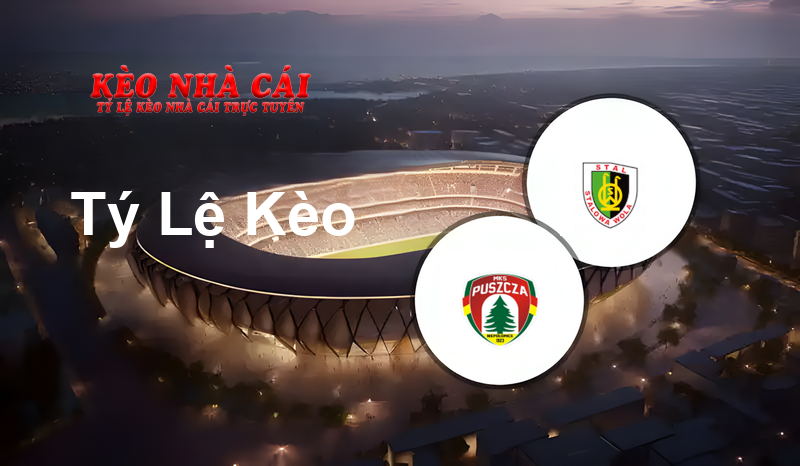 Puszcza Niepołomice vs Stal Stalowa Wola prediction, odds, lineups, h2h results and betting tips, statistics, odds and prediction - Kèo Nhà Cái