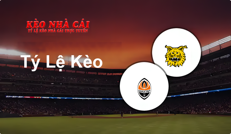 Shakhtar Donetsk vs Ilves prediction, odds, lineups, h2h results and betting tips, statistics, odds and prediction - Kèo Nhà Cái