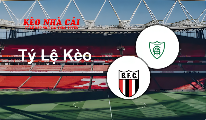 Botafogo SP vs America Mineiro prediction, odds, lineups, h2h results and betting tips, statistics, odds and prediction - Kèo Nhà Cái
