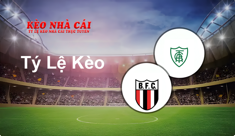 Botafogo SP vs America Mineiro prediction, odds, lineups, h2h results and betting tips, statistics, odds and prediction - Kèo Nhà Cái