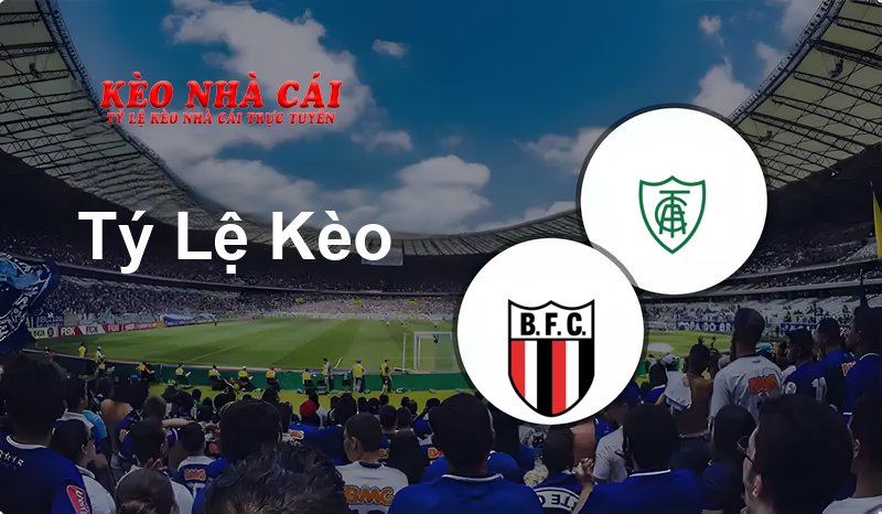 Botafogo SP vs America Mineiro prediction, odds, lineups, h2h results and betting tips, statistics, odds and prediction - Kèo Nhà Cái
