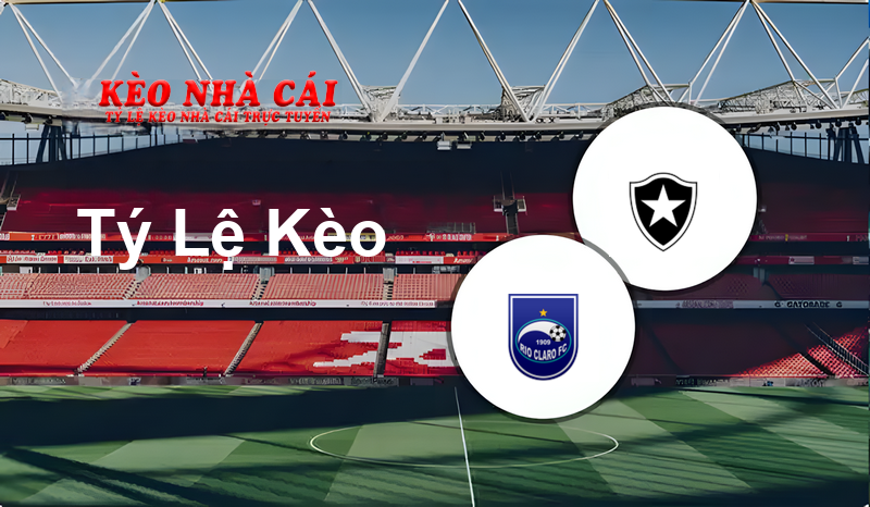 Rio Claro SP U20 vs Botafogo SP U20 prediction, odds, lineups, h2h results and betting tips, statistics, odds and prediction - Kèo Nhà Cái