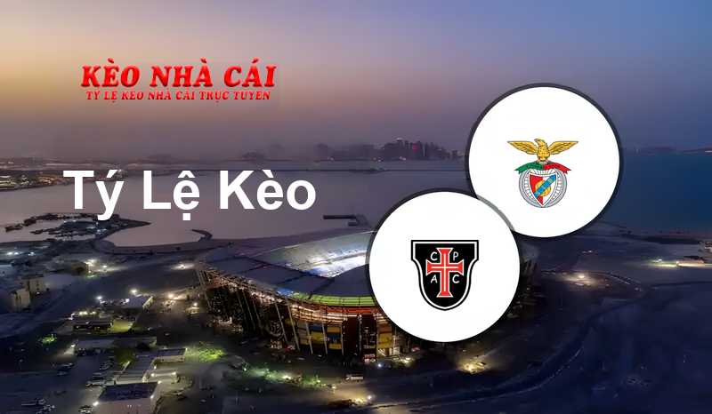 Casa Pia vs Benfica B prediction, odds, lineups, h2h results and betting tips, statistics, odds and prediction - Kèo Nhà Cái