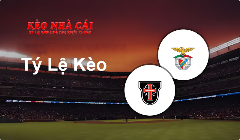 Casa Pia vs Benfica B prediction, odds, lineups, h2h results and betting tips, statistics, odds and prediction - Kèo Nhà Cái