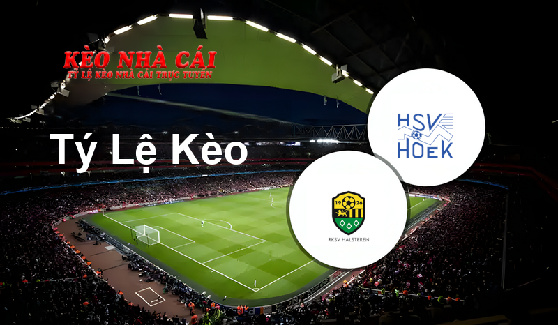 Halsteren vs Hoek prediction, odds, lineups, h2h results and betting tips, statistics, odds and prediction - Kèo Nhà Cái