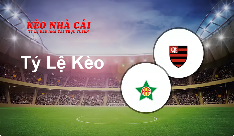 Portuguesa RJ U20 vs Flamengo U20 prediction, odds, lineups, h2h results and betting tips, statistics, odds and prediction - Kèo Nhà Cái