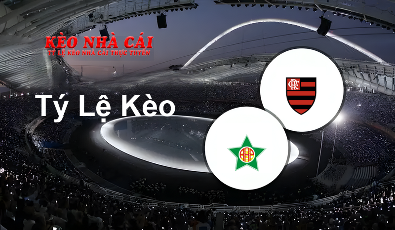 Portuguesa RJ U20 vs Flamengo U20 prediction, odds, lineups, h2h results and betting tips, statistics, odds and prediction - Kèo Nhà Cái