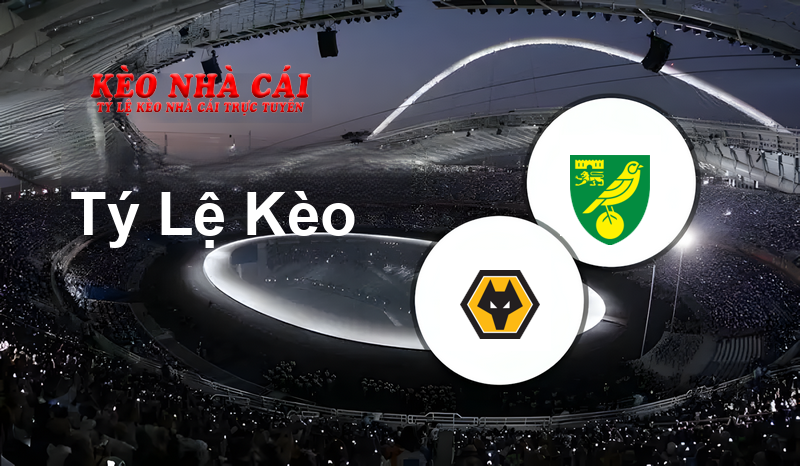Wolves U21 vs Norwich City U21 prediction, odds, lineups, h2h results and betting tips, statistics, odds and prediction - Kèo Nhà Cái