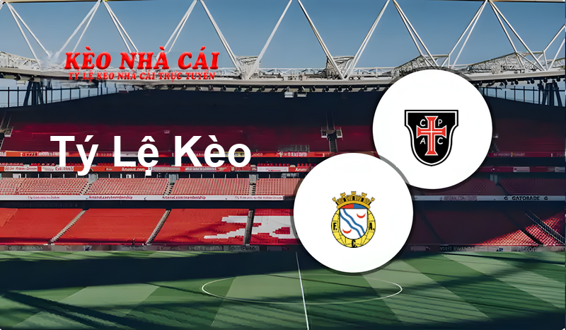Alverca vs Casa Pia prediction, odds, lineups, h2h results and betting tips, statistics, odds and prediction - Kèo Nhà Cái